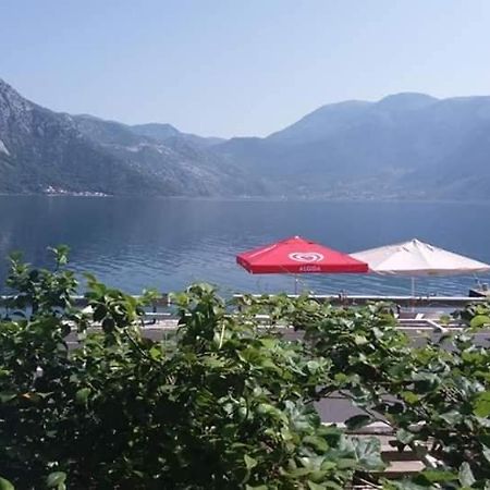 Apartments Dabovic Kotor Exteriör bild