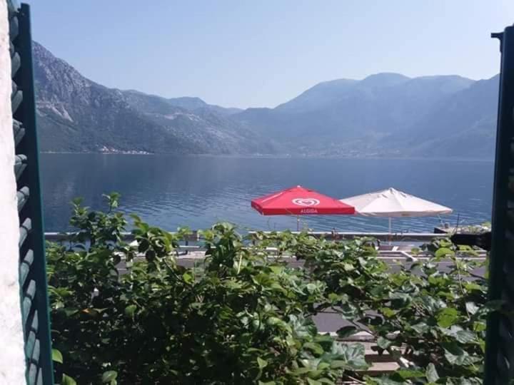 Apartments Dabovic Kotor Exteriör bild