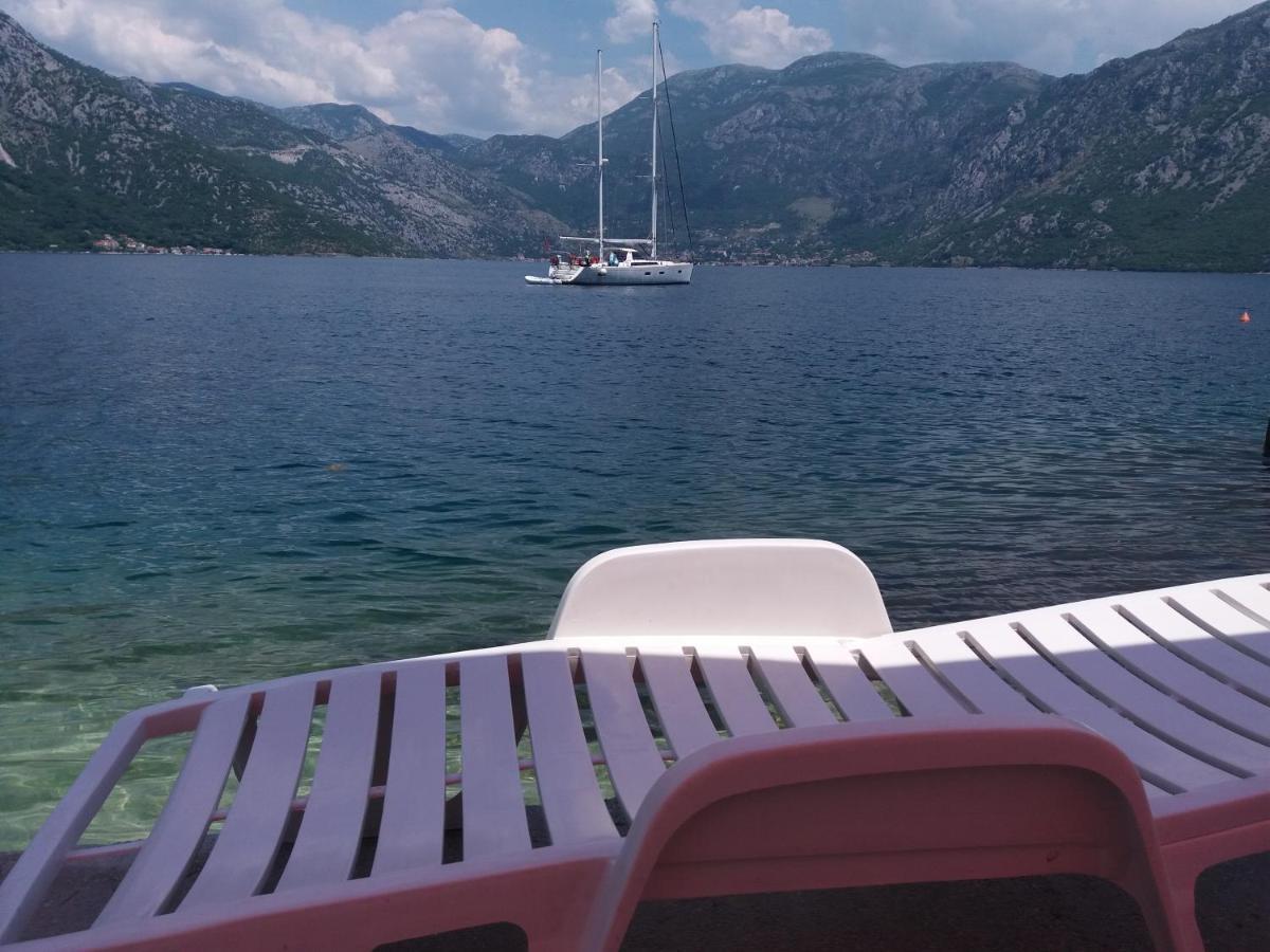 Apartments Dabovic Kotor Exteriör bild