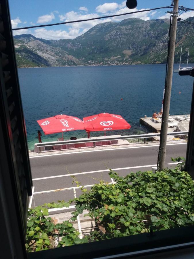 Apartments Dabovic Kotor Exteriör bild