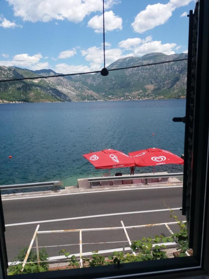 Apartments Dabovic Kotor Exteriör bild