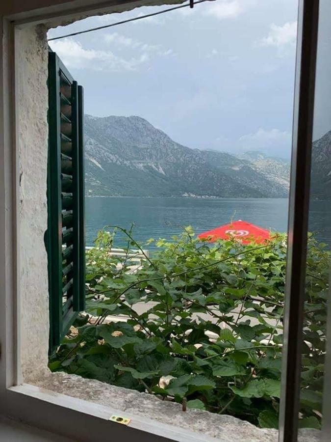 Apartments Dabovic Kotor Exteriör bild