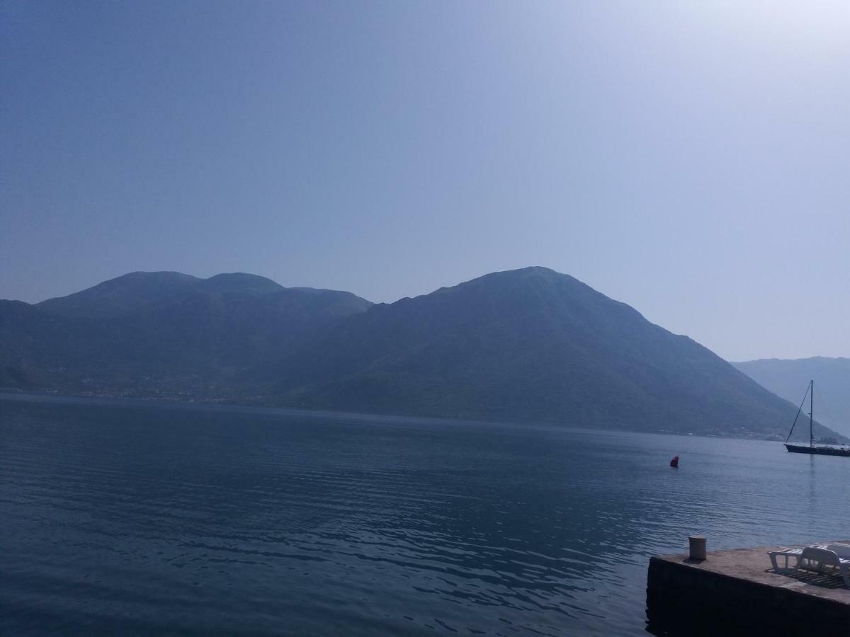 Apartments Dabovic Kotor Rum bild