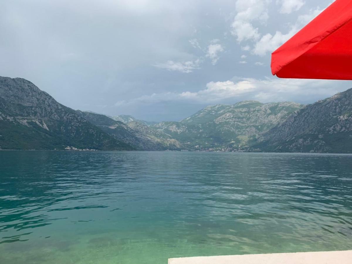 Apartments Dabovic Kotor Rum bild