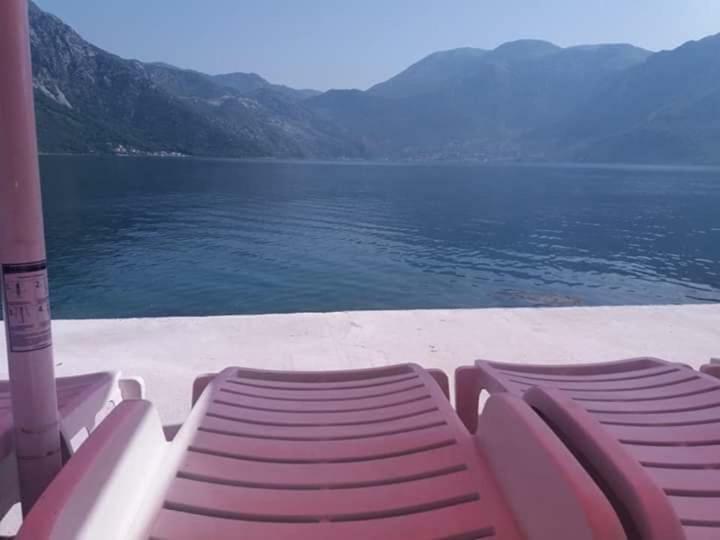 Apartments Dabovic Kotor Exteriör bild